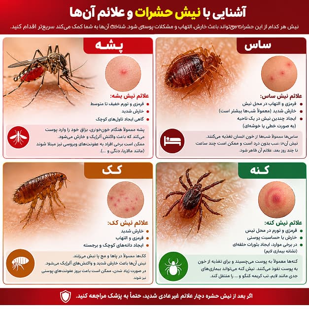تشخیص نیش پشه,مگس,ساس,کک